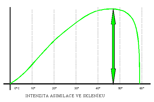 Intenzita asimilace v prod