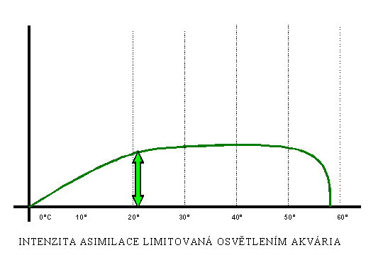 Intenzita asimilace 