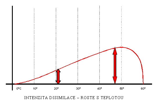 intenzita_disi.gif (4763 bytes)